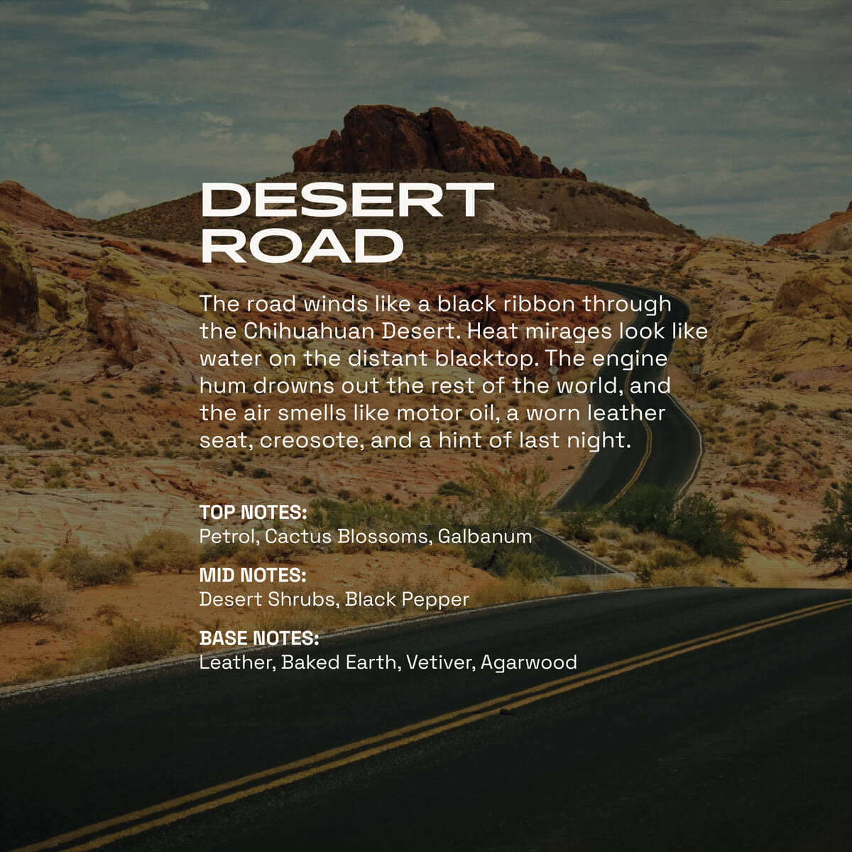 beardbrand-desert-road-cologne-20-ml-leder-holzig image 4